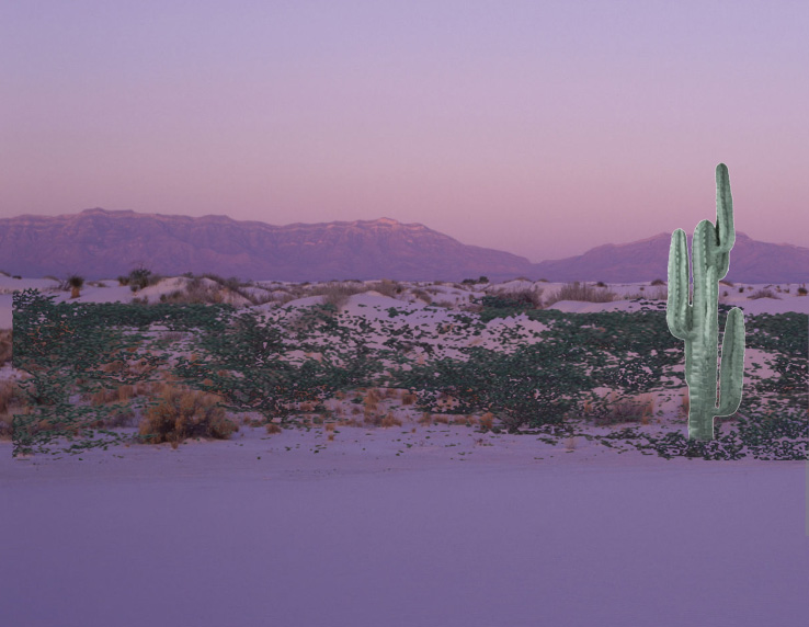 Gage New Mexico Memoirs White Oaks New Mexico Goldrush