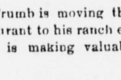 White Oaks eagle., June 02, 1898, Image 3