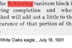 White-Oaks-eagle.-July-18-1901