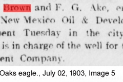 White Oaks eagle., July 02, 1903, Image 5