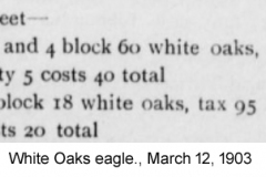 White-Oaks-eagle.-March-12-1903