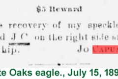 White Oaks eagle., July 15, 1897