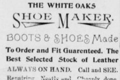 White Oaks eagle., July 25, 1895