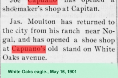White Oaks eagle., May 16, 1901