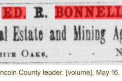 The Lincoln County leader. [volume], May 16, 1885