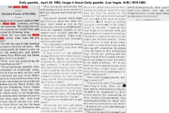 Daily gazette., April 20, 1880, Image 4ShowThis