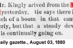 Daily gazette., August 03, 1880