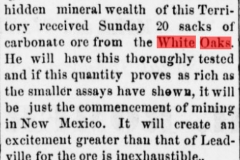 Daily gazette., August 04, 1880