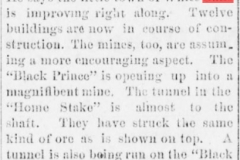 Daily gazette., August 10, 1880a