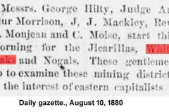 Daily gazette., August 10, 1880b