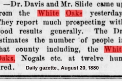 Daily gazette., August 20, 1880