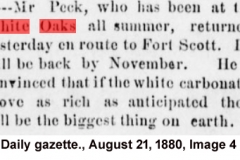 Daily gazette., August 21, 1880, Image 4