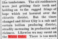 Daily gazette., August 25, 1880a
