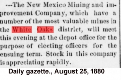 Daily gazette., August 25, 1880b