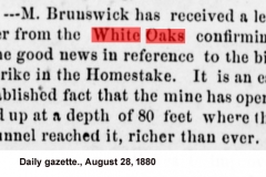 Daily gazette., August 28, 1880