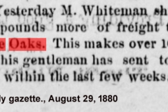 Daily gazette., August 29, 1880