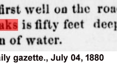 Daily gazette., July 04, 1880