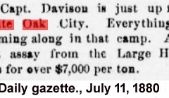 Daily gazette., July 11, 1880