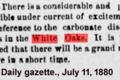 Daily gazette., July 11, 1880a