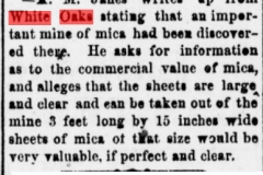 Daily gazette., July 14, 1880b