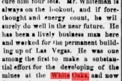 Daily gazette., July 14, 1880c