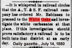 Daily gazette., July 14, 1880d