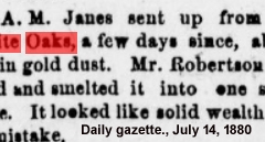 Daily gazette., July 14, 1880f