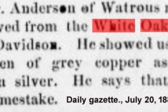 Daily gazette., July 20, 1880