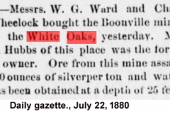 Daily gazette., July 22, 1880