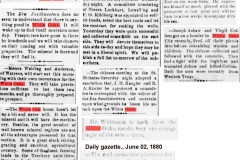 Daily gazette., June 08, 1880