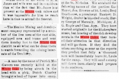 Daily gazette., June 10, 1880, Image 4