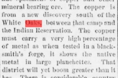 Daily gazette., June 10, 1880, Image 4a