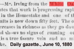 Daily gazette., June 10, 1880e