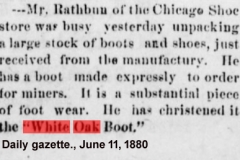 Daily gazette., June 11, 1880