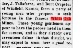 Daily gazette., June 13, 1880