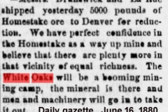 Daily gazette., June 16, 1880a