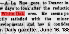 Daily gazette., June 16, 1880c