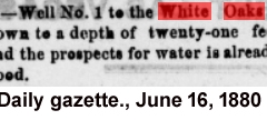 Daily gazette., June 16, 1880d