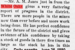 Daily gazette., June 25, 1880