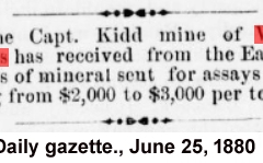 Daily gazette., June 25, 1880a