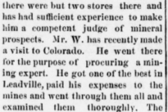 Daily gazette., June 25, 1880d