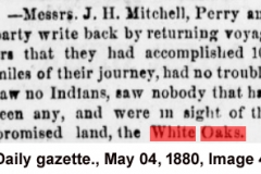 Daily gazette., May 04, 1880, Image 4