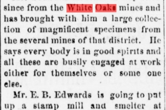 Daily gazette., May 04, 1880a