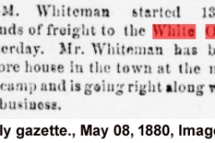 Daily gazette., May 08, 1880, Image 4