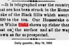 Daily gazette., May 16, 1880