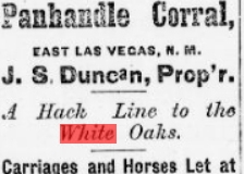 Daily gazette., May 16, 1880c