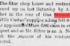 OldestThe old Abe eagle., December 11, 1891