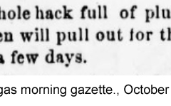 Las-Vegas-morning-gazette.-October-22-1880d