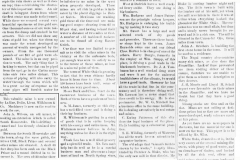 Las-Vegas-morning-gazette.-October-29-1880