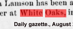 Daily gazette., August 25, 1880